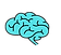 Brain